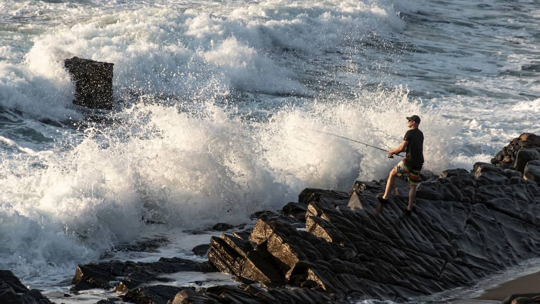 Resentimiento excitación Fructífero ▷ Las 5 mejores cañas para pesca surfcasting para el 2023 - De Pesca &  Anzuelo