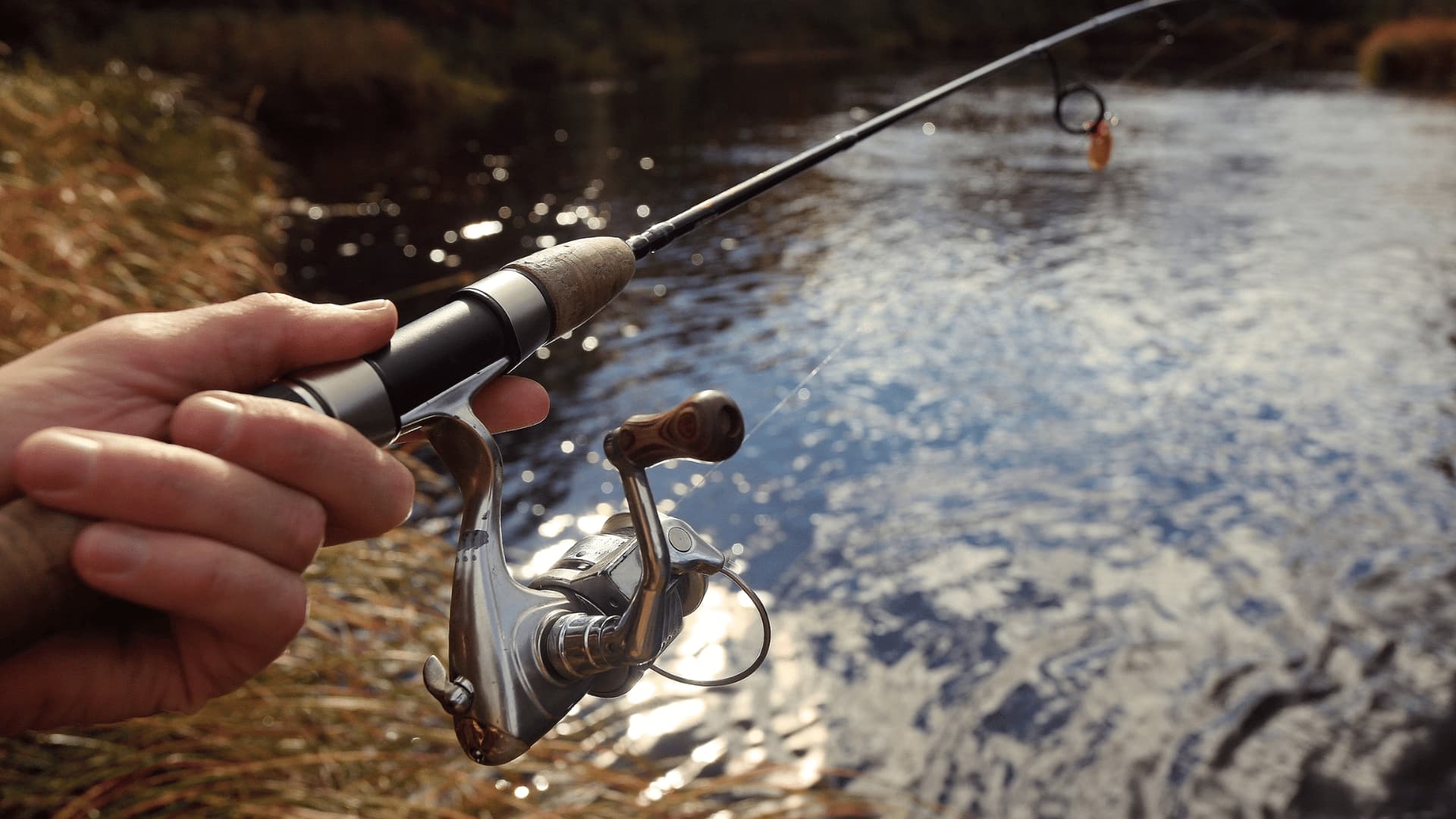 spinning-fishing-1.jpg